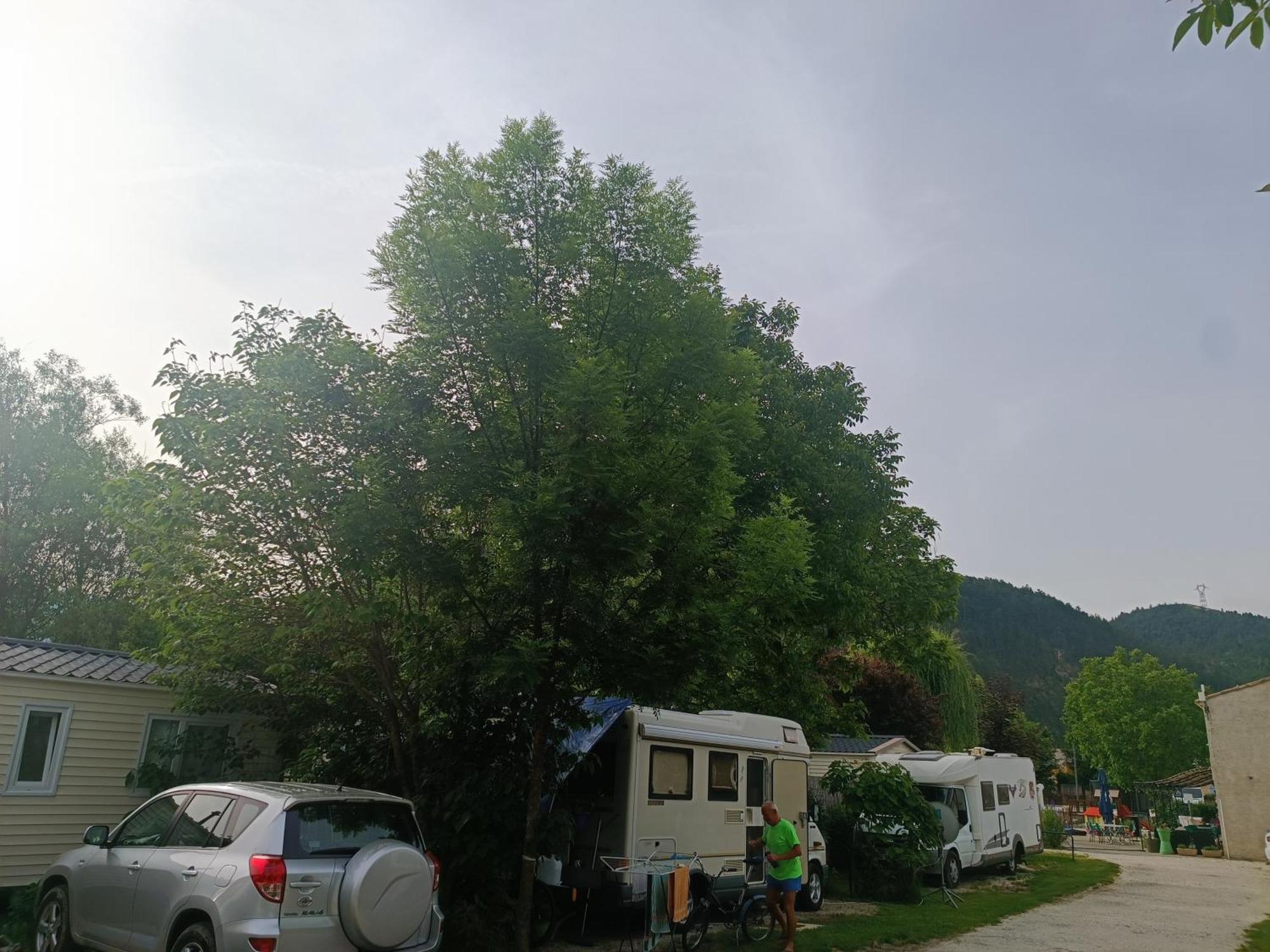 Camping Les Lavandes, Castellane Luaran gambar